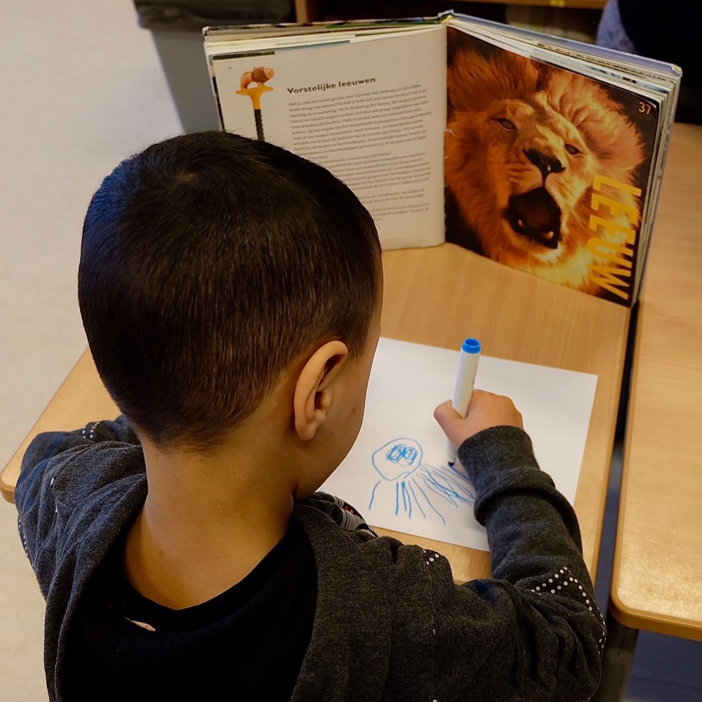 Onderzoekend leren op Basisschool De Zuiderzee