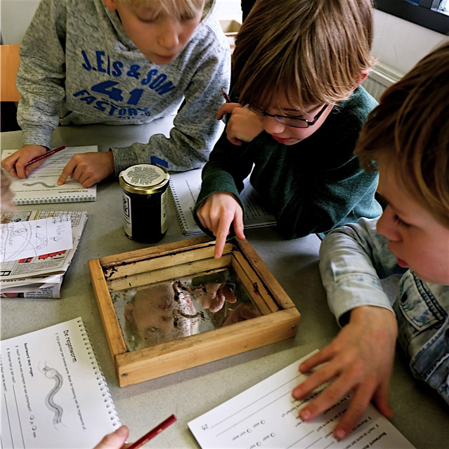 Onderzoekend leren IJburg