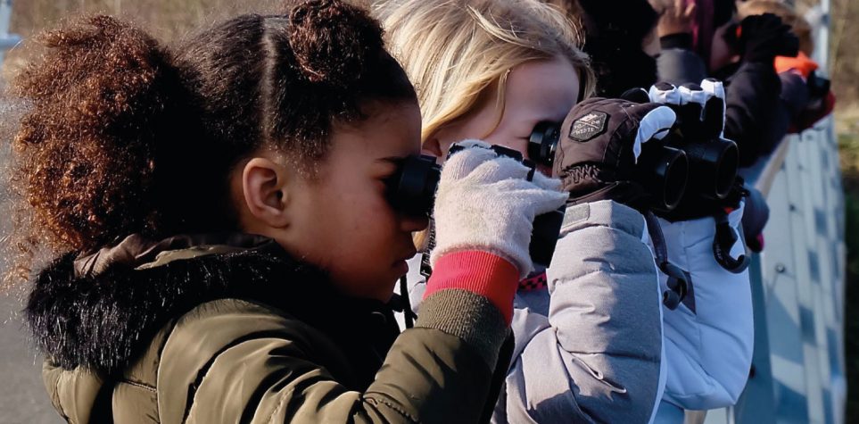 onderzoekend leren bij basisschool De Zuiderzee