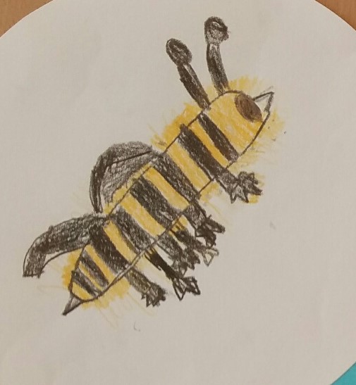 Brede ontwikkeling basisschool De Zuiderzee