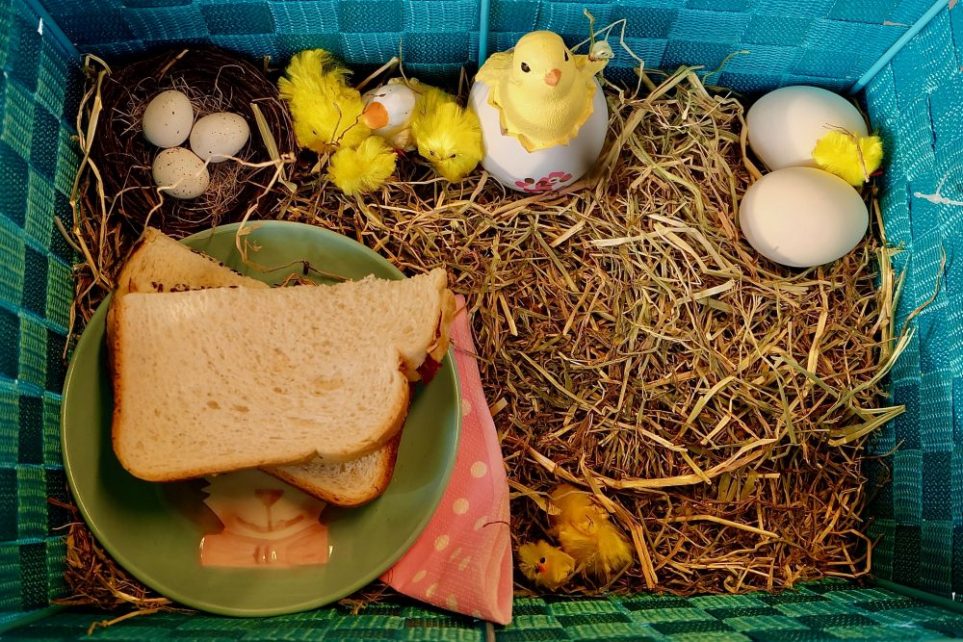 Paasontbijt op school: SJIPS! Eitje kapot.... - Basisschool de Zuiderzee op IJburg, Zeeburgereiland